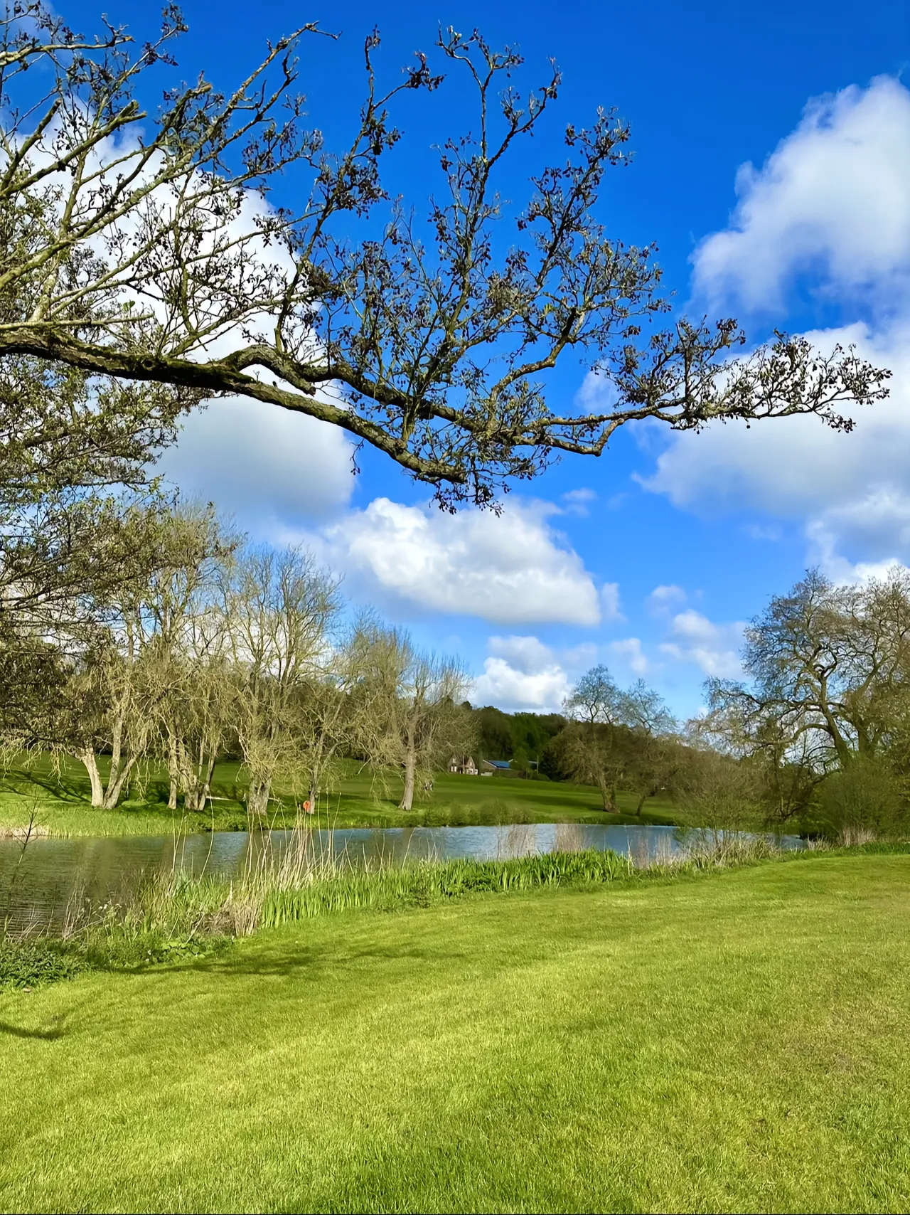 印第安纳步行者训练开放日,今晨篮板制胜引欢呼,欧冠在即,纪律约束更严格 印第安纳步行者训练开放日,今晨篮板制胜引欢呼,欧冠在即,纪律约束更严格