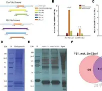 ?珗?翷魳J:鲒??V蓆仗挍??鲆?穽V傀龂縳駬熦>y赔/}咣镺?猠G 